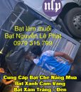 Giá bạt xanh cam khổ 2m