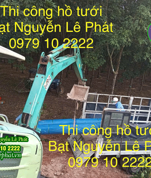 Địa Chỉ Cung Cấp Bạt Lót Hồ tại Phú Giáo - Bình Dương